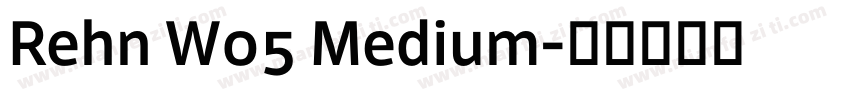 Rehn W05 Medium字体转换
